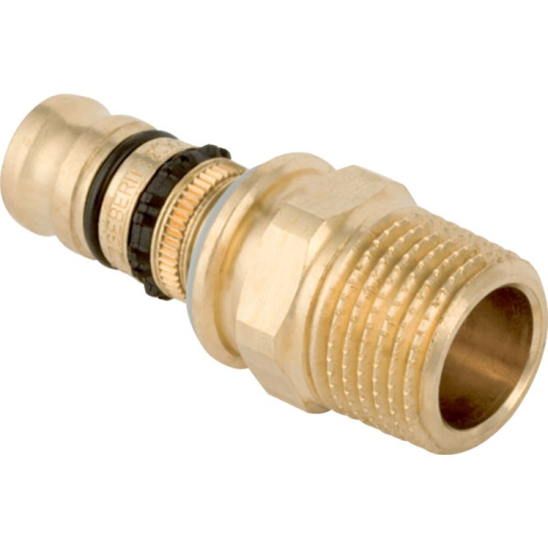 image-7cd77409.jpg