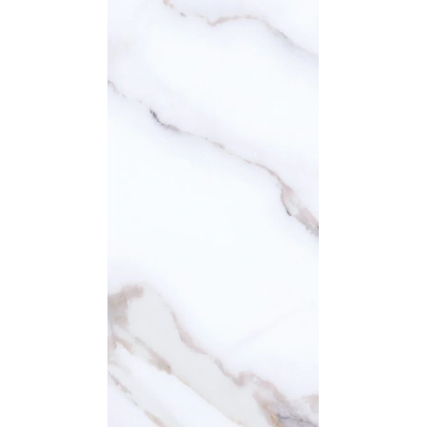 01_1926219.webp