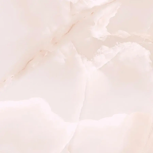 01_1926223.webp