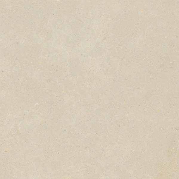 01_8540067.jpg