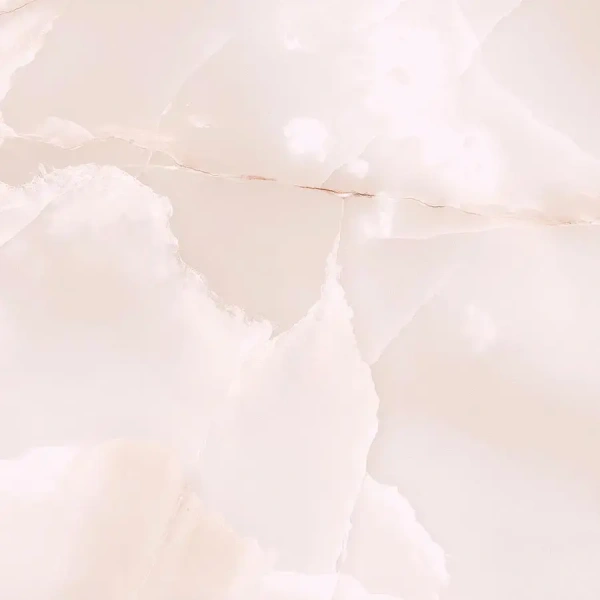 02_1926223.webp