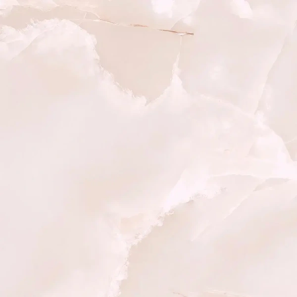 06_1926223.webp