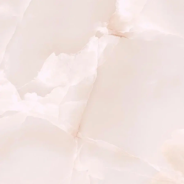 07_1926223.webp