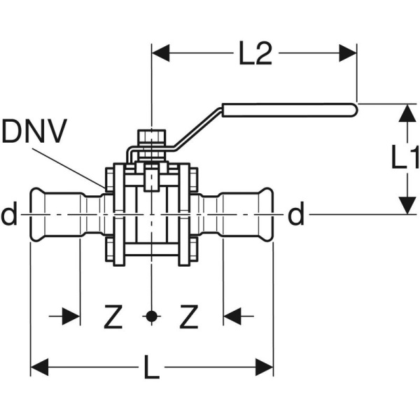 image-7c1e5896.jpg