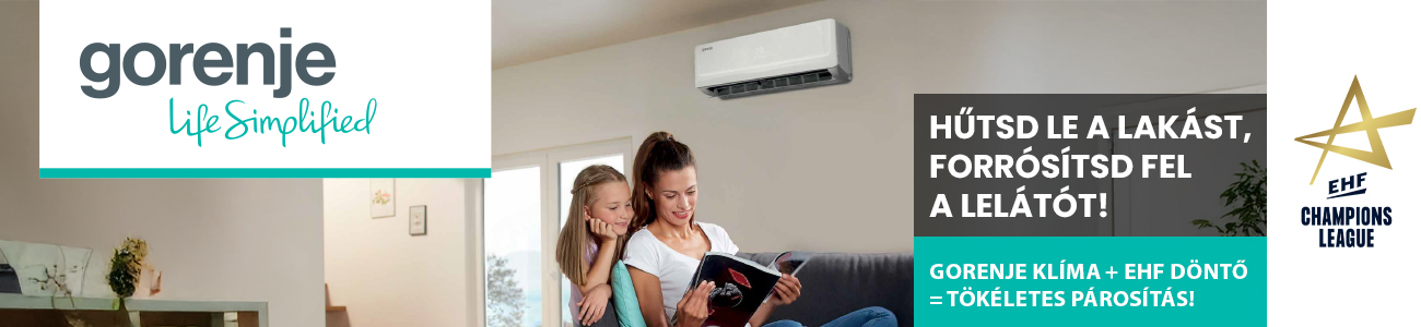 wellis kiemelt ajanlatok v2 1300 x 300